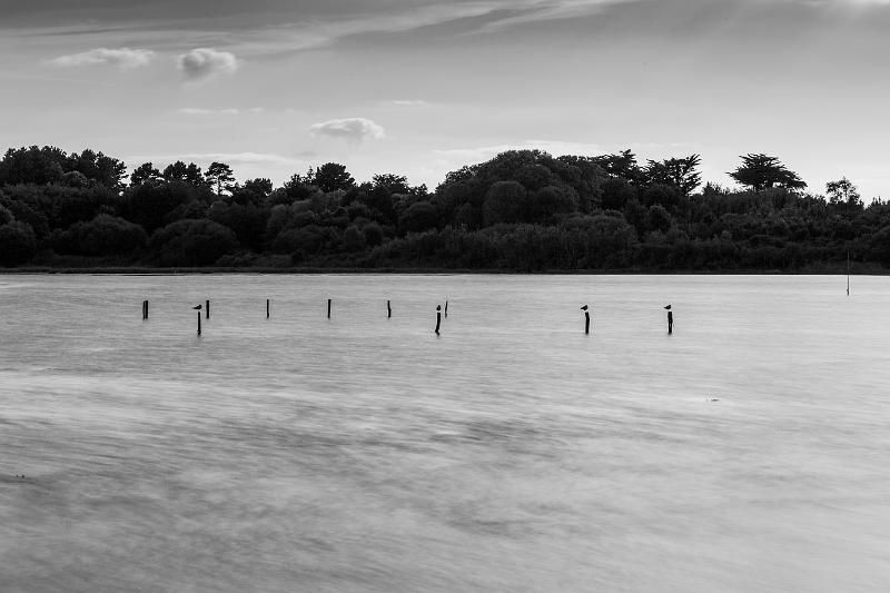 2019_09_10_Bretagne (0096).jpg - Dans le Golfe du Morbihan (septembre 2019)